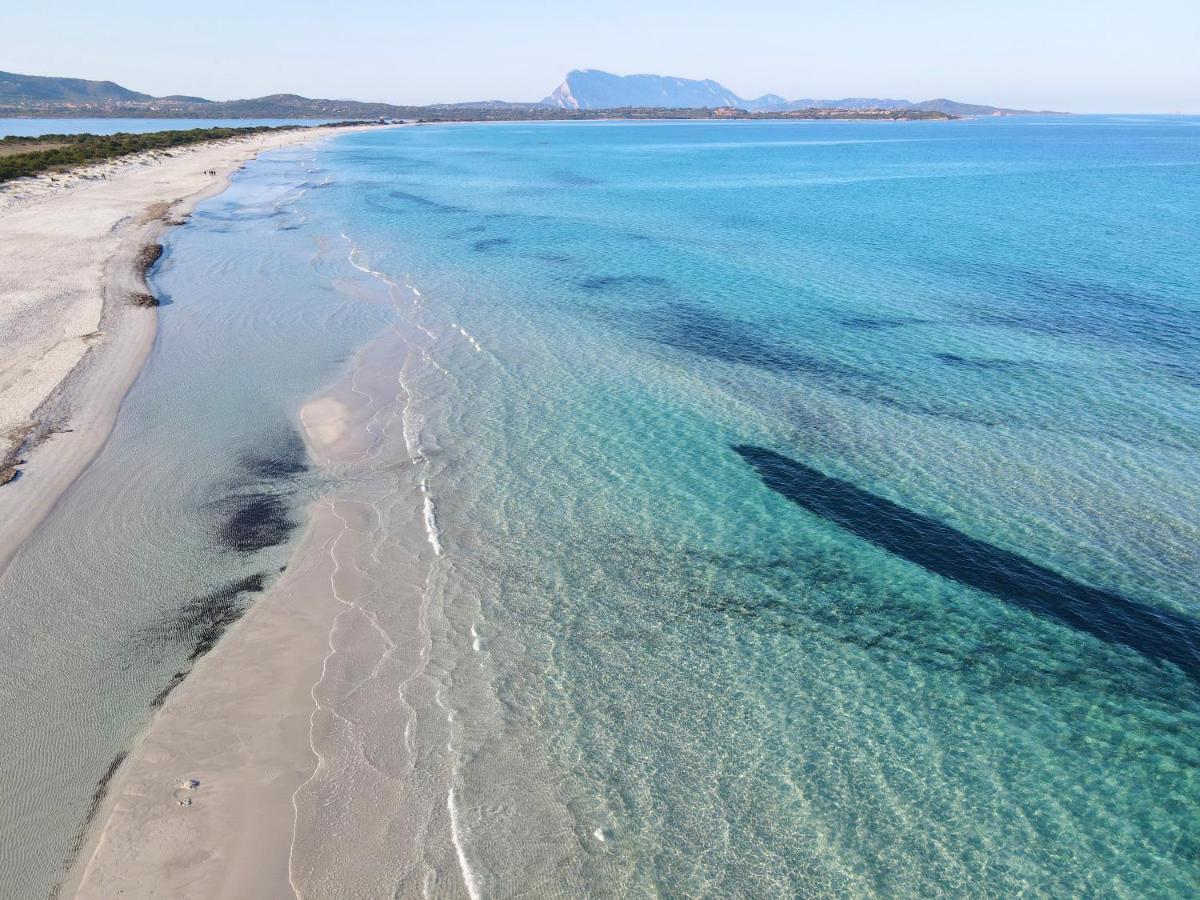 Iss Travel, San Teodoro 1 - 100 M From Cala D'Ambra Beach Bagian luar foto