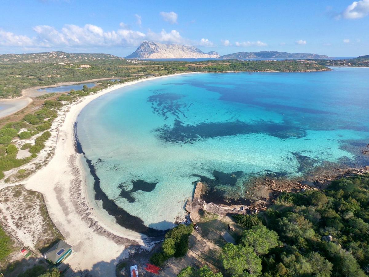 Iss Travel, San Teodoro 1 - 100 M From Cala D'Ambra Beach Bagian luar foto